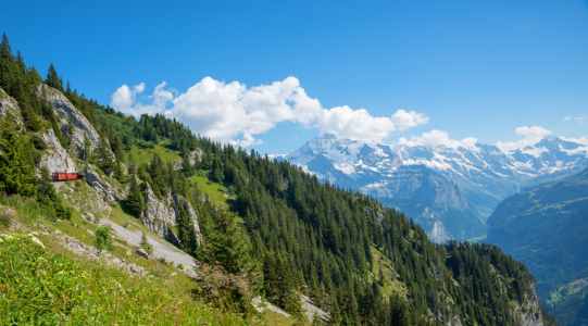 Bild-Nr: 12438522 Schynige Platte Berglandschaft Berner Oberland Erstellt von: SusaZoom