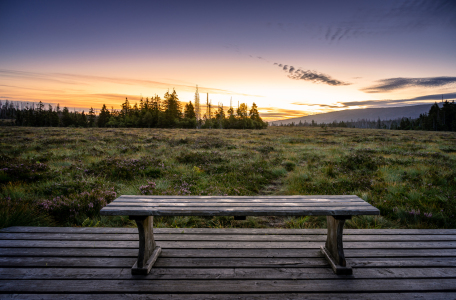 Bild-Nr: 12467763 Moorblick Erstellt von: Steffen Henze