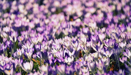 Bild-Nr: 12571818 Im Licht Erstellt von: GUGIGEI