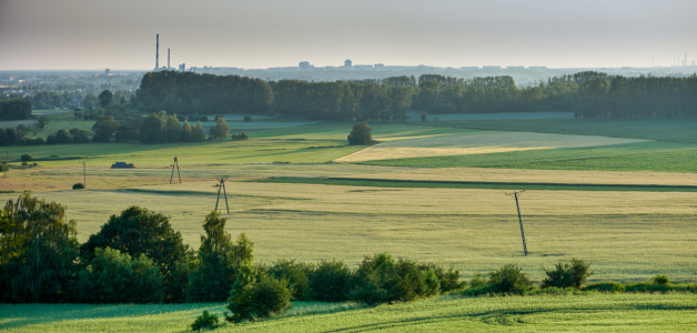 Bild-Nr: 12589175 Schlesien Erstellt von: Gregor Handy