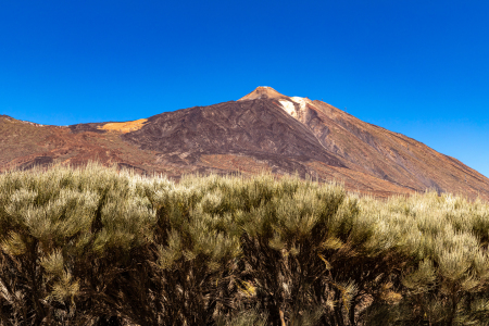 Bild-Nr: 12590697 Vulkanlandschaft am Teide Erstellt von: alexwolff68