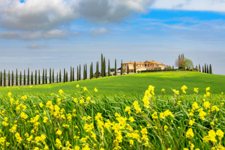 Bild-Nr: 12639953 Frühling in der Toskana Erstellt von: DirkR