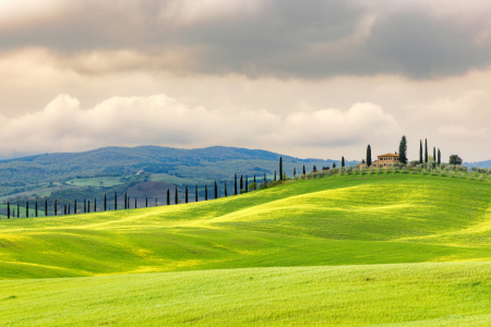 Bild-Nr: 12691778 Toskana Erstellt von: DirkR