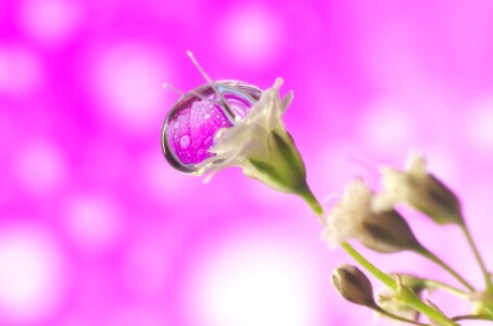 Bild-Nr: 12692782 Waterdrops in Waterdrop Erstellt von: Ina  Penning