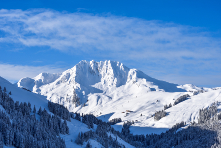 Bild-Nr: 12712587  Nationalpark Panorama Resterhöhe Erstellt von: Gregor Handy