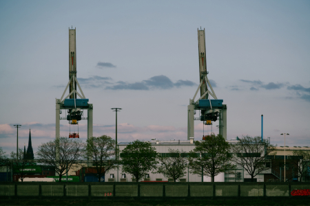 Bild-Nr: 12727913 Kran-Duett Erstellt von: nadine-gutmann