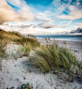 Bild-Nr: 12739797 Am Dünenstrand Erstellt von: Werner Reins