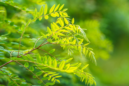 Bild-Nr: 12740985 Sommerblues Erstellt von: FotoDeHRO