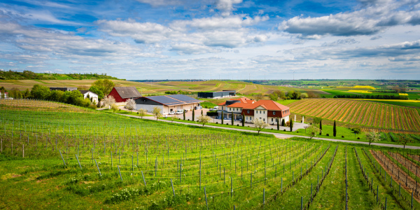 Bild-Nr: 12742507  Hofgut Donnersberg bei Vendersheim 65 Erstellt von: Erhard Hess