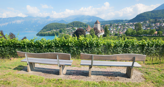 Bild-Nr: 12742693 Aussichtsbänke am Rebberg Spiez Erstellt von: SusaZoom
