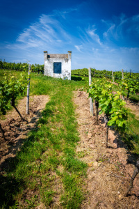 Bild-Nr: 12745000 Trullo am alten Flurweg 57 Erstellt von: Erhard Hess