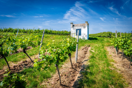 Bild-Nr: 12745001 Trullo am alten Flurweg 67 Erstellt von: Erhard Hess