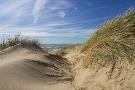 Bild-Nr: 12746393 Am Strand Erstellt von: yammay
