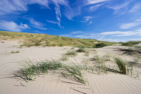 Bild-Nr: 12746659 Dünenlandschaft Erstellt von: yammay