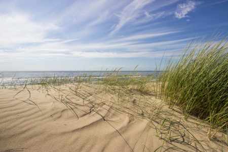 Bild-Nr: 12746731 Dünen an der Nordsee Erstellt von: yammay