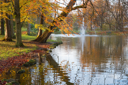 Bild-Nr: 12751836 Herbstlicher Kurpark in Bad Aibling Erstellt von: SusaZoom