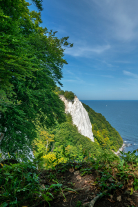 Bild-Nr: 12763784 Victoriasicht auf Rügen Erstellt von: volker heide
