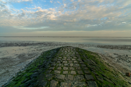 Bild-Nr: 12767558 Buhne in Duhnen Erstellt von: volker heide