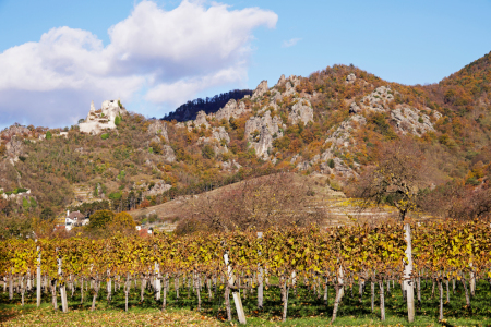 Bild-Nr: 12770108 Herbst in der Wachau Erstellt von: wompus