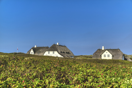 Bild-Nr: 12771900 Rotes Cliff Sylt Erstellt von: XYRIUS