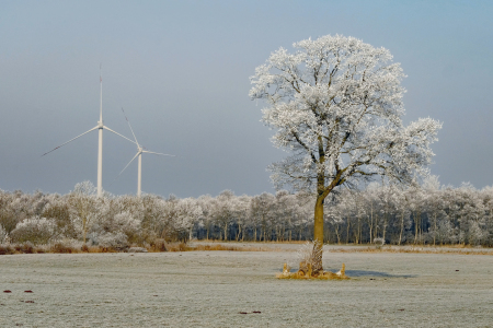 Bild-Nr: 12793961 Naturschutz mit der Natur Erstellt von: Ostfriese
