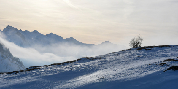 Bild-Nr: 12797400 Winterstimmung Erstellt von: Bettina Schnittert
