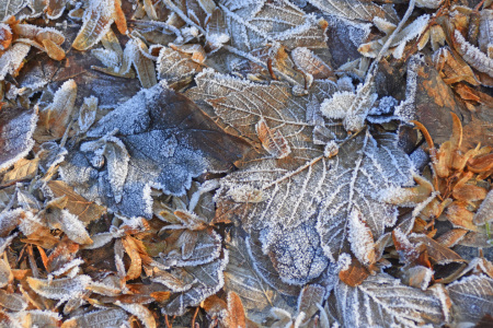 Bild-Nr: 12803981 frostig Erstellt von: GUGIGEI