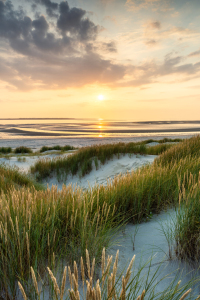 Bild-Nr: 12806708 Sonnenuntergang am Strand Erstellt von: eyetronic