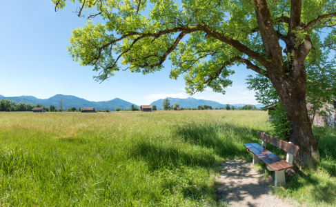 Bild-Nr: 12815335 Rastbank bei Benediktbeuern Erstellt von: SusaZoom