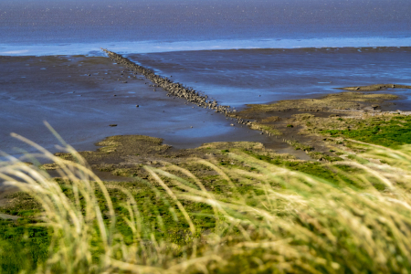 Bild-Nr: 12825368 Küste Erstellt von: lukafo