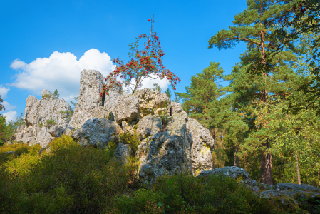 Bild-Nr: 12831134 Naturdenkmal Großer Pfahlriegel Viechtach II Erstellt von: SusaZoom