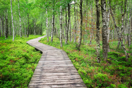 Bild-Nr: 12834033 Wege zur Entspannung XXX Erstellt von: Daniela Beyer