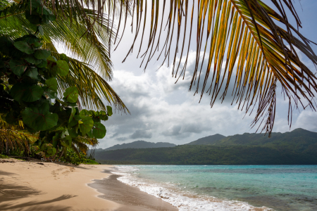 Bild-Nr: 12834384 Playa Rincon Erstellt von: Bettina Schnittert