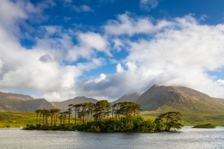 Bild-Nr: 12836590 Kleine Bauminsel vor den Twelve Pins Erstellt von: Daniela Beyer