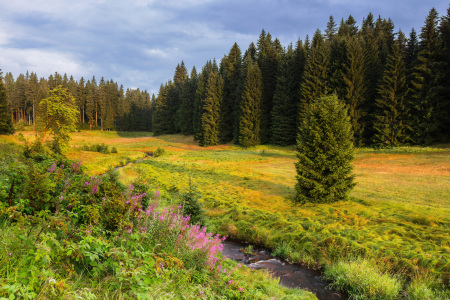 Bild-Nr: 12838612 Das Erzgebirge in goldenes Licht getaucht  Erstellt von: Daniela Beyer