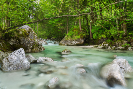 Bild-Nr: 12838710 Frühling an der Ramsauer Ache Erstellt von: Daniela Beyer