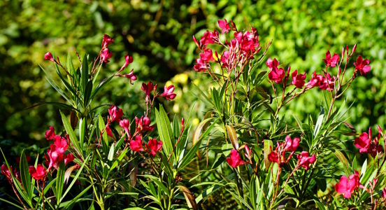 Bild-Nr: 12838906 Süden Erstellt von: youhaveadream