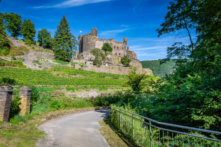 Bild-Nr: 12840882 Burg Reichenstein 26 Erstellt von: Erhard Hess