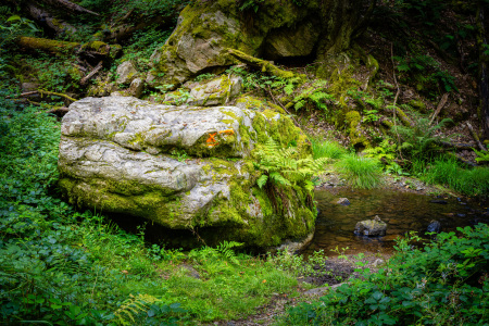 Bild-Nr: 12841115 Morgenbachtal 12 Erstellt von: Erhard Hess