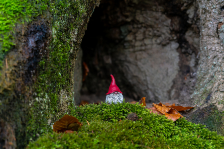 Bild-Nr: 12845366 kleiner Gnom vor seiner Baumhöhle Erstellt von: volker heide