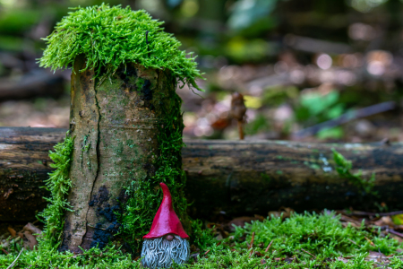 Bild-Nr: 12845367 kleiner Wichtel im Wald Erstellt von: volker heide