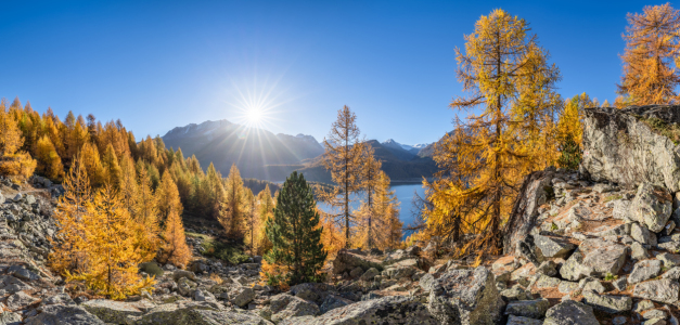 Bild-Nr: 12847652 Silsersee Panorama im Herbst Erstellt von: eyetronic