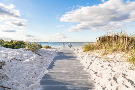 Bild-Nr: 12848394 Ostsee Stranddünen    Erstellt von: Ursula Reins