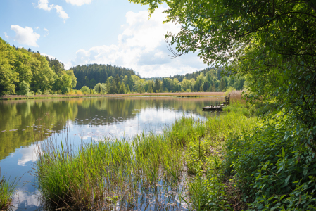 Bild-Nr: 12848964 Frühling am Weiher II Erstellt von: SusaZoom