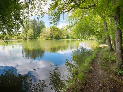 Bild-Nr: 12848965 Frühling am Weiher III Erstellt von: SusaZoom