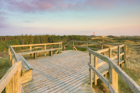 Bild-Nr: 12849753 Aussichtsplattform auf Amrum Blick zum Leuchtturm Erstellt von: Michael Valjak