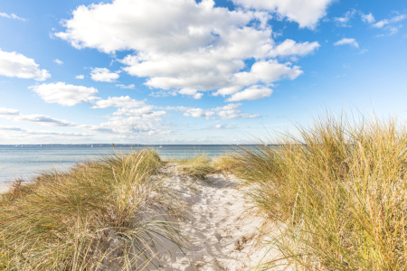 Bild-Nr: 12850769 Blick über Ostseedünen Erstellt von: Ursula Reins