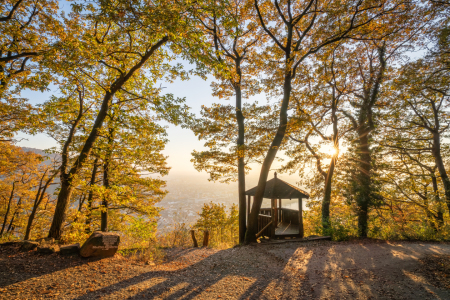 Bild-Nr: 12851290 Aussicht vom Fuchsrondell in Heidelberg Erstellt von: eyetronic