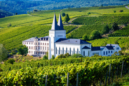 Bild-Nr: 12851923 Kloster Johannisberg 52 Erstellt von: Erhard Hess