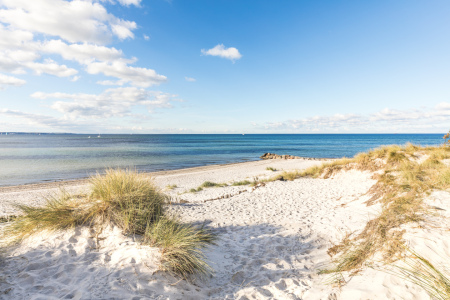 Bild-Nr: 12852707 Ostsee Stranddünen Erstellt von: Ursula Reins
